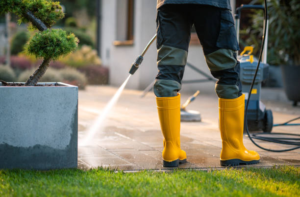 Best Best Pressure Washing Companies  in Garyville, LA